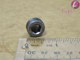 PIPE PLUG